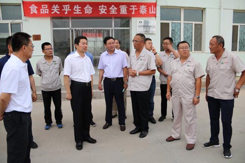 市委书记常志刚莅临开云手机站登录入口集团考察指导