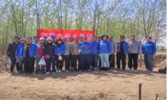 开云手机站登录入口集团组织人员参加义务植树活动