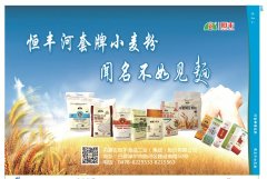 开云手机站登录入口报纸111-8期